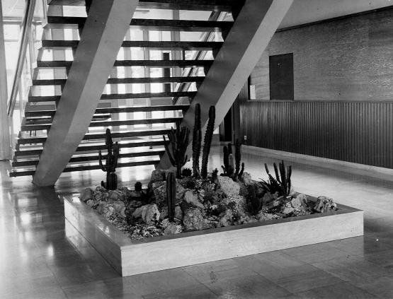 Hall du bâtiment de la direction - 1968